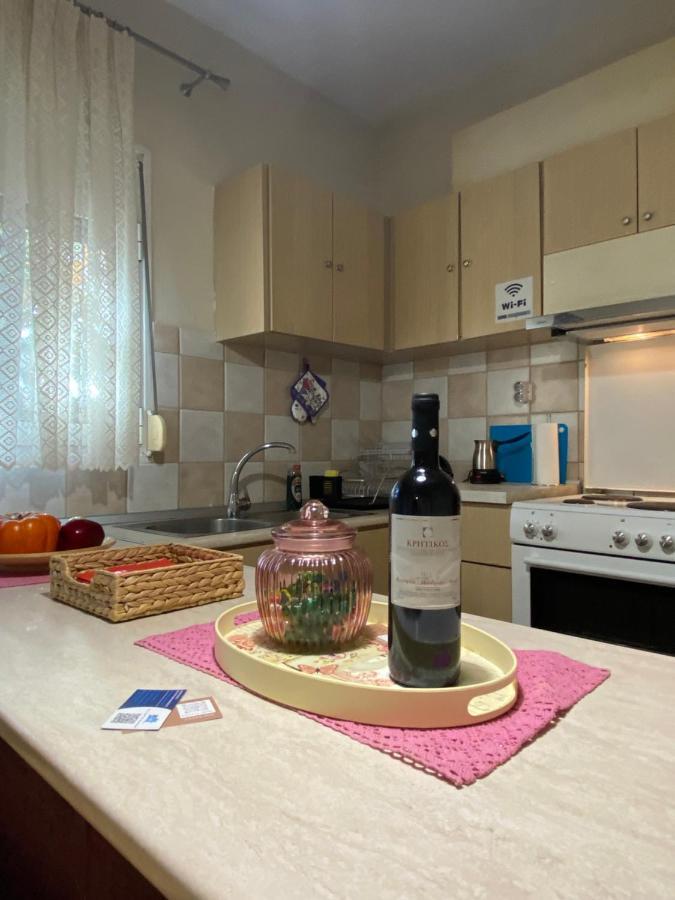 Cozy And Quiet Mini City Apartment Trikala  Exterior foto