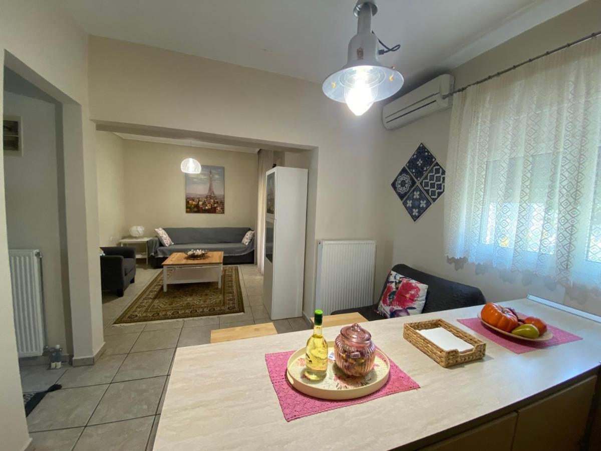 Cozy And Quiet Mini City Apartment Trikala  Exterior foto